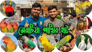 মেরাদিয়া পাখির হাট 