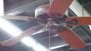 Harbor Breeze Classic ceiling fans in a boardwalk store
