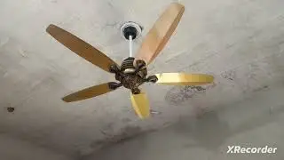 AC DC Champion fan Review and RPM comparison with GFC fan AC