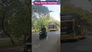 #bus akap Handoyo#short