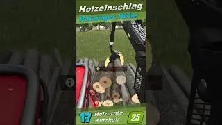 🌲Forestry on Ratzinger H&ouml;he 17🌲 #ls25 #fs25