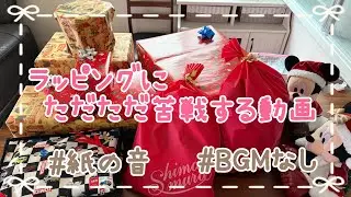 クリスマスプレゼント /プレゼントあげたくて仕方ないw /まごちゃん❤️/BGMなし