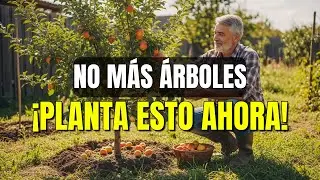 7 Árboles Frutales Que Dan Fruta Todo el Año y Nadie Te Vende