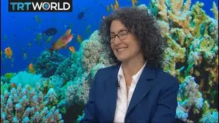 Can the ocean&rsquo;s corals survive climate change?