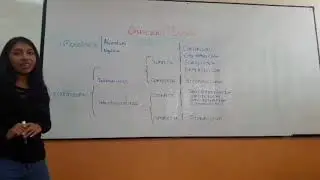 l&oacute;gica mate m&aacute;tica