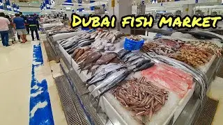 DUBAI FISH MARKET | FISH MARKET DUBAI TOUR | TYPES + PRICES | سوق السمك دبي | #DubaiFishMarket