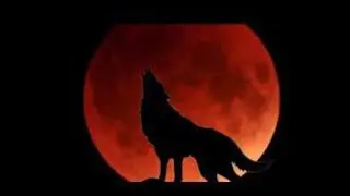 Eclipse 2019 Super Wolf Blood Moon time, how to watch Blood Moon it