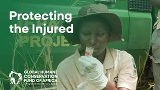 Saving Wildlife in Uganda with Vet Dr. Rebecca Nakato