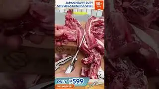 Japan Heavy Duty Stainless Steel Kitchen Scissor