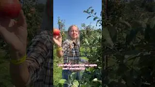 Apple Picking With My Fianc&eacute;