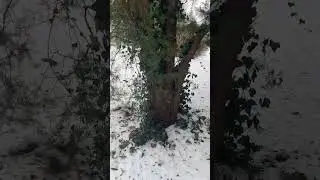 Жизнь в Варсве