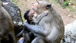 How cute baby Timo hug king Marcus wit love look very sweet,Marcus give warm Timo on his chest