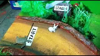 Hare and the tortoise story - Model