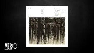 Low Flying Hawks - Twilight
