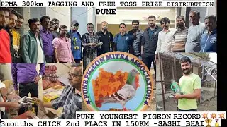 PPMA 300KM Race Tagging And Free Toss Prize Distribution   #racing #pigeon #pune #homingpigeontv