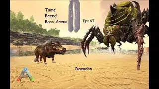 Tame, Breed, Boss Arena Gamma Broodmother : Ep 67 : Daeodon