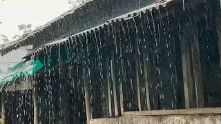 Rain sounds for sleeping in rooftop - Natural rain sounds for Relaxing, Sleeping, Studying, ASMR #6