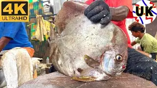 SPADE FISH CUTTING | FISH CUTTING SKILLS | FISH CUTTING VIDEOS #kasimedu | UK SONS MARINE