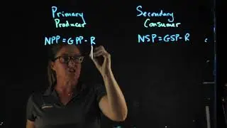Primary and Secondary Prod