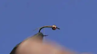 Fly Tying Croston's Tungsten Spider - Simple pattern that catches wary trout