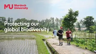 Building a Safer Future Through International Collaboration