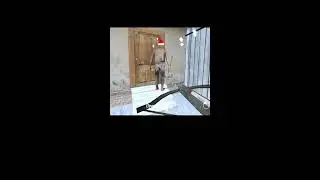 Granny  crismus winter s#attitude  live #Svibeac #viral #america
