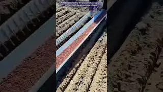 Innovative Seed Planting Tool
