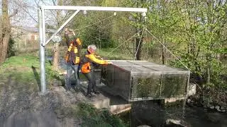 Oker Fischmonitoring 2019 an der AOLG-Kontrollstation in Meinersen