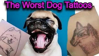 These Dog Tattoos are pretty Awful | Worst Tattoos Part 15
