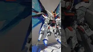 MGSD Gundam Freedom #gundam #gunpla #gunplabuilder #shortvideo #gundamseed #mgsd