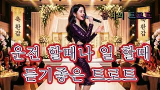 운전이나🚎 일하실 때 듣기좋은 트로트에요 광고 없는 트로트 메들리👍