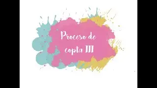Proceso de un copta III