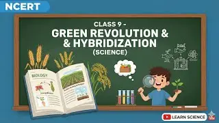 खाद्य संसाधनों में सुधार | Green Revolution, Hybridization & Sustainable Farming | Class 9 Science