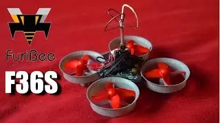 Furibee F36S Tiny Whooper