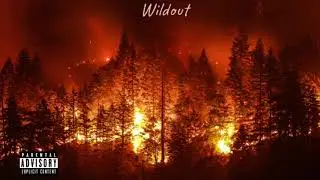 Nevi ft. KurlyQ and M3MO - Wildout
