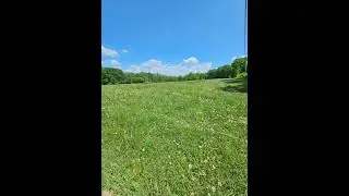 free hay. Singing Wood Farm and Forest.  come cut and take it all away!