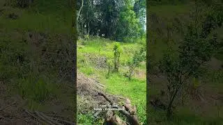 Land For sale In KANDY - Kiribathkubura | kandy property for sale