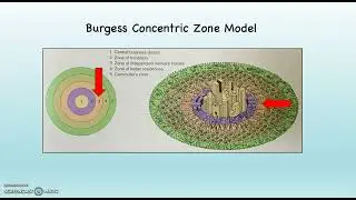 G102 Burgess Concentric Zone Model