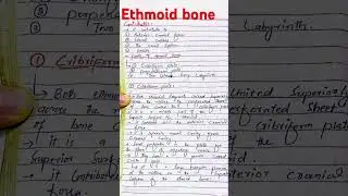 Ethmoid bone of the skull