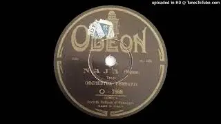 Orchestra Ferruzzi - Naja (Tango) - 1928