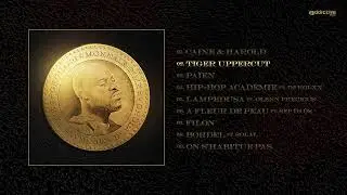 GRÖDASH - Tiger Uppercut (prod. by NarsBaks)