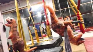 Jurassic Fun at the Circus