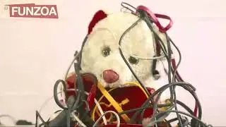 Funny Funzoa  video