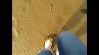 worship my feet ......