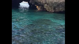 Limu Pool 3, Namukulu Niue