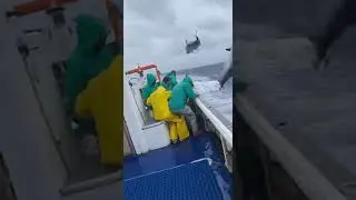 Giant Yellowfin Tuna Rain on Boat Deck &mdash; Crew Panics in Viral Chaos 😱