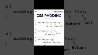 Css padding 
