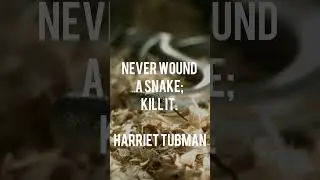 Never wound a snake Kill it :-  Harriet Tubman