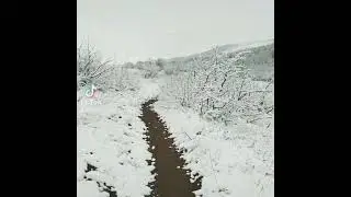 Ольховатка. Енакиево. Вид на Балку Инвалидскую.