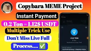Instant payment 0.20 Ton Copybara MEME Project, telegram&nbsp; live full withdraw Process&nbsp; (Shohag Teach)